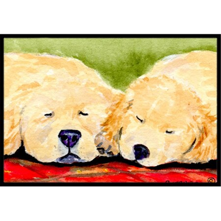 Carolines Treasures Golden Retriever Indoor Outdoor Mat - 18 x 27 in. SS8902MAT